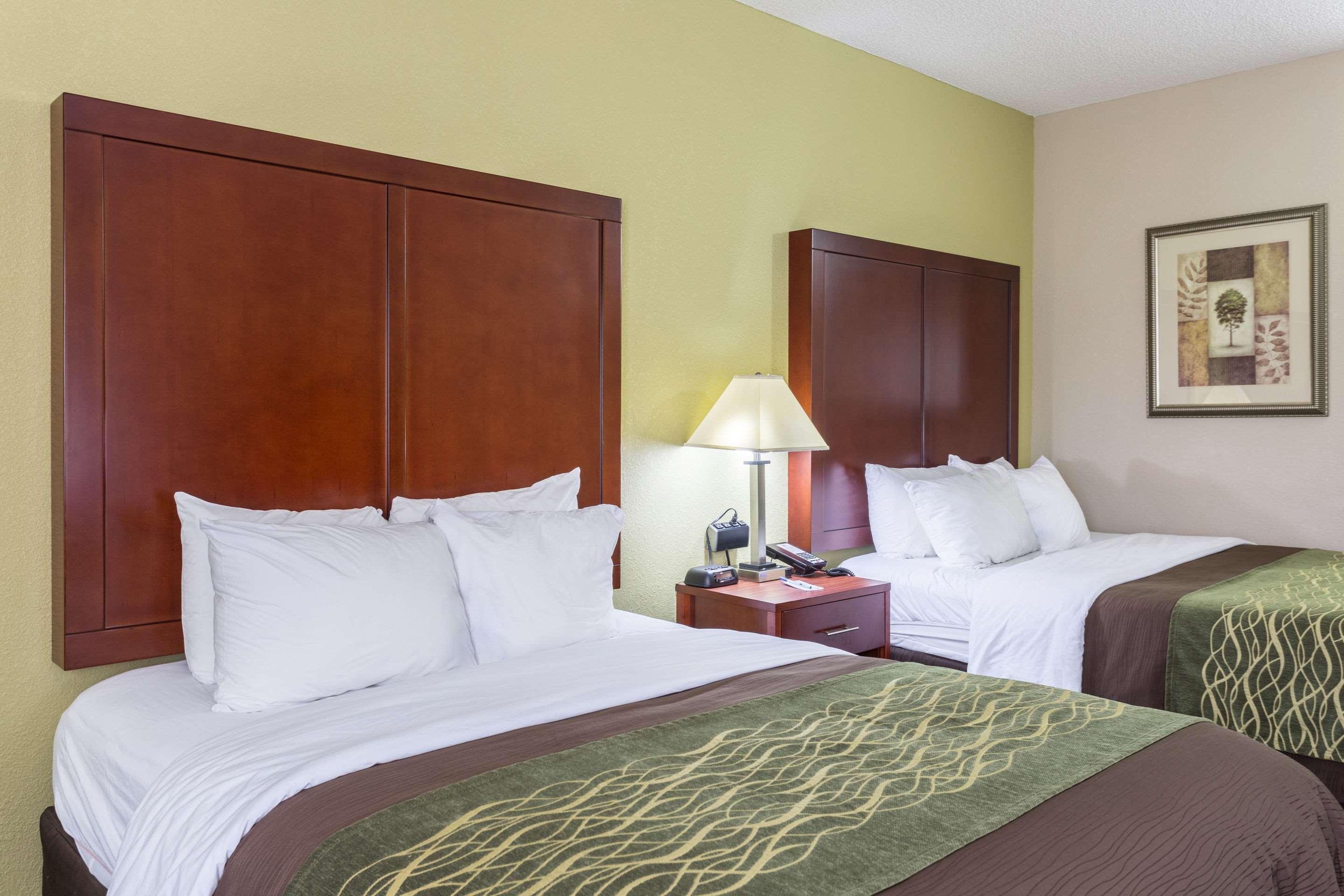 Comfort Inn Decatur Priceville Extérieur photo