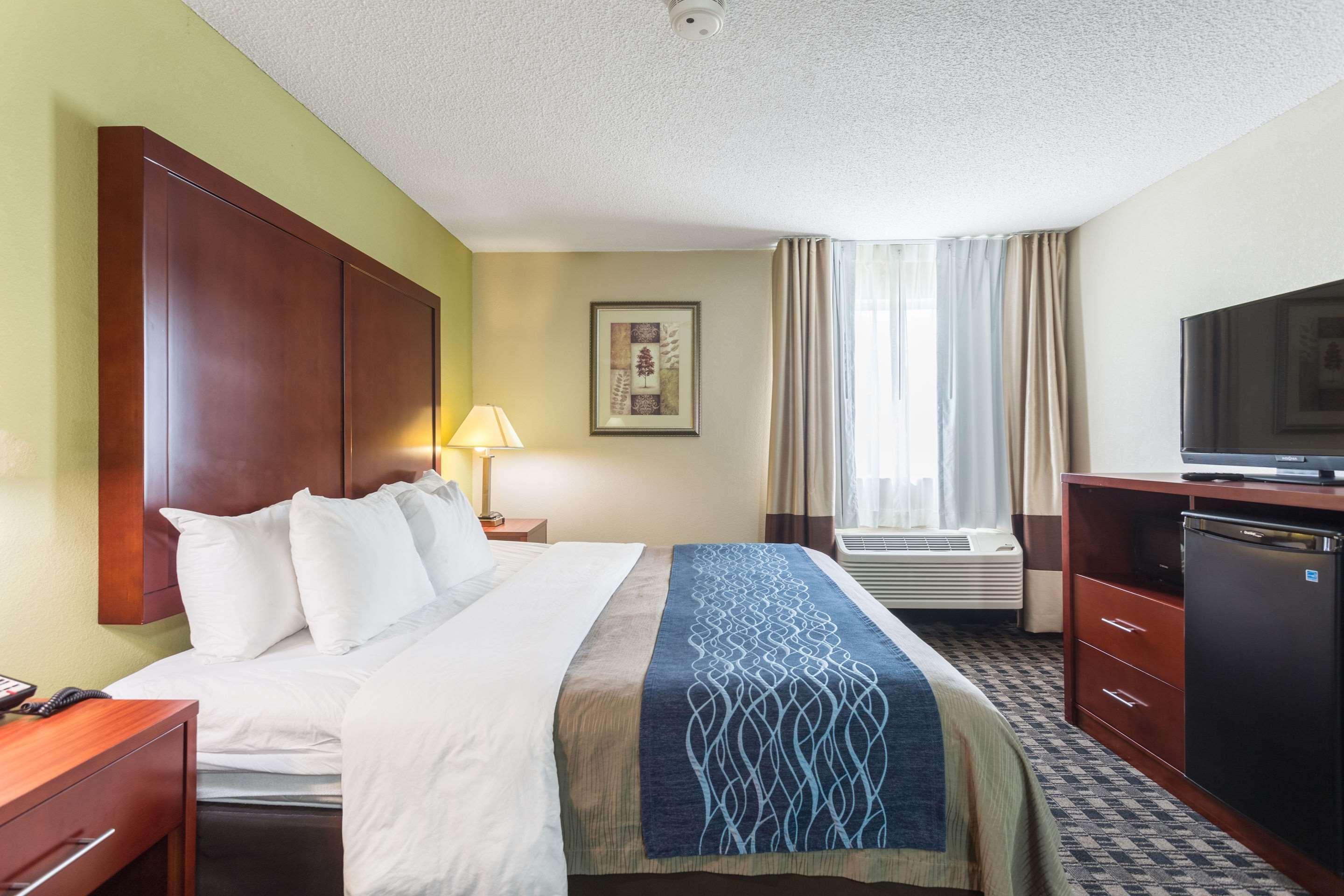Comfort Inn Decatur Priceville Extérieur photo