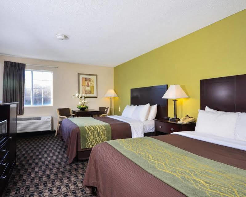 Comfort Inn Decatur Priceville Extérieur photo