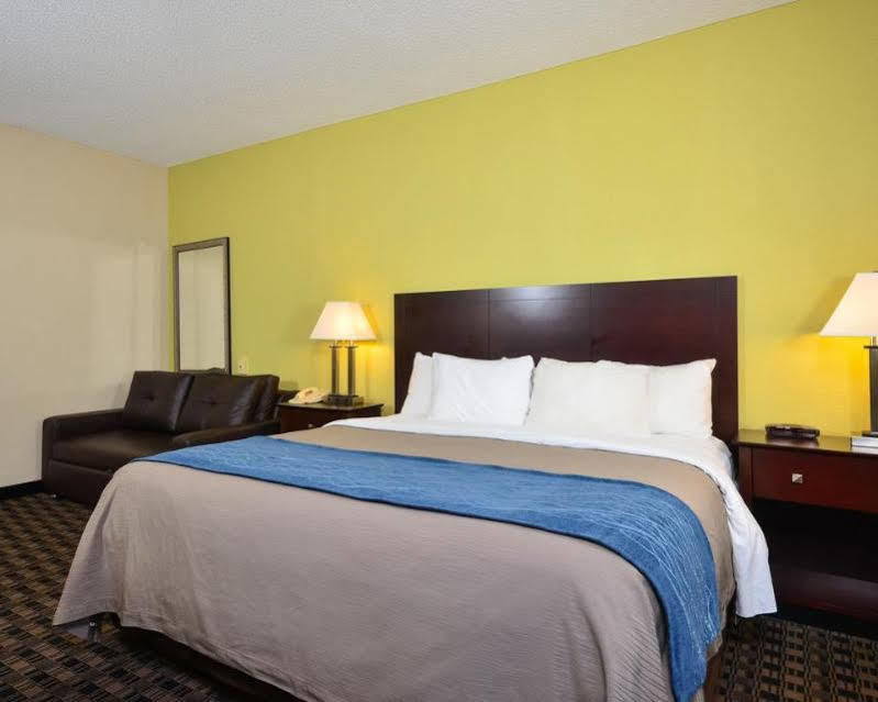 Comfort Inn Decatur Priceville Extérieur photo